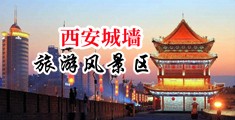 欧美搬白B中国陕西-西安城墙旅游风景区